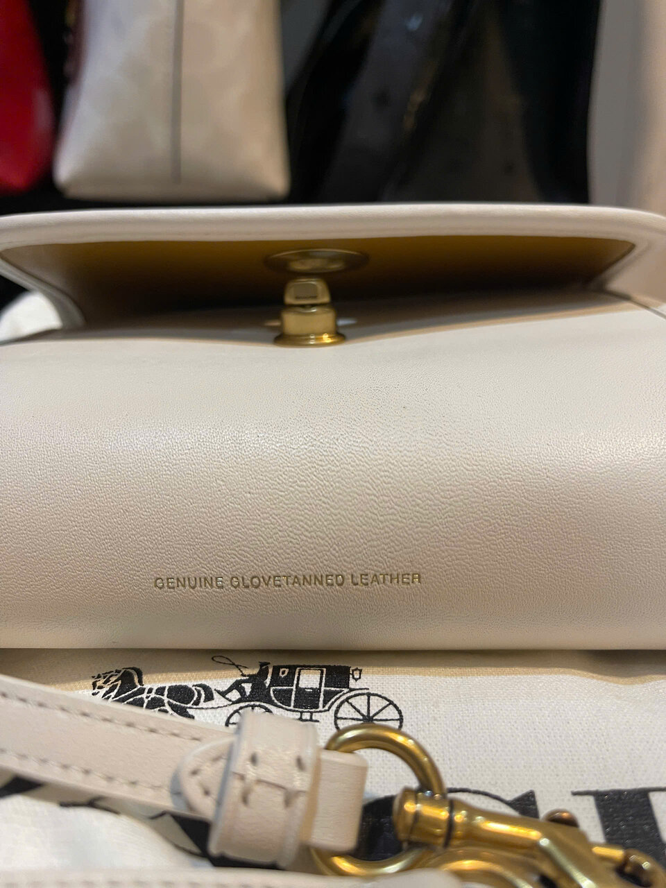 [25-010023] COACH Extreme Beauty Kip Turn Lock - Thumbnail 8
